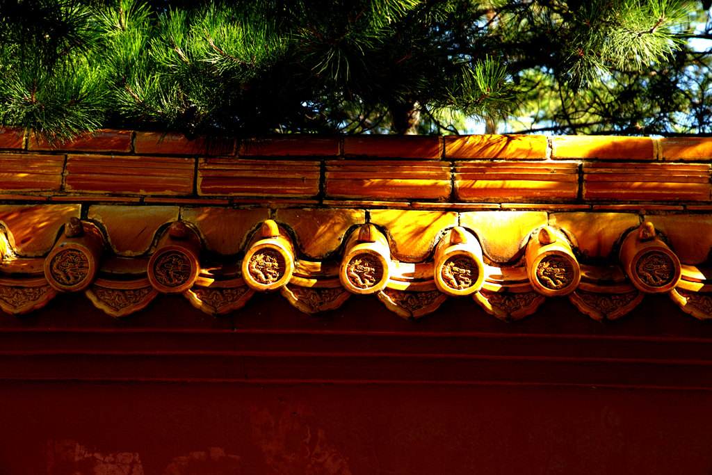 img_5918__.jpg