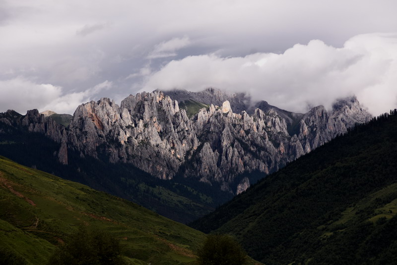 dsc_4662.jpg
