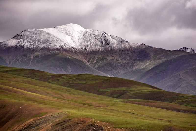 dsc_4735.jpg