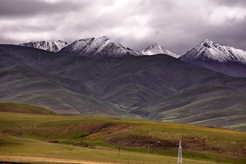 dsc_4739.jpg