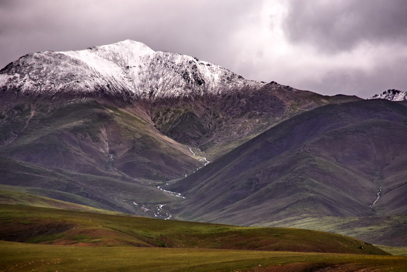 dsc_4741.jpg
