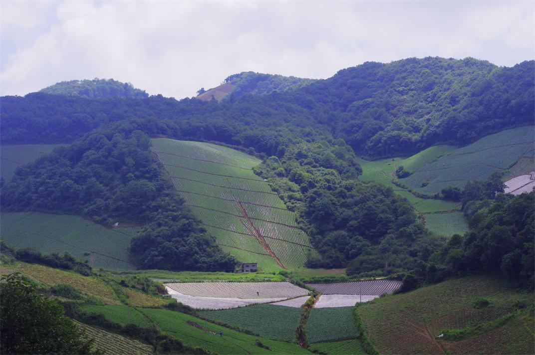 _igp7667.jpg