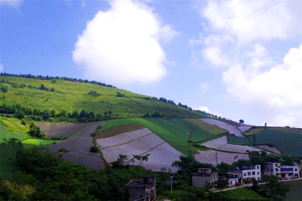 _igp7656.jpg