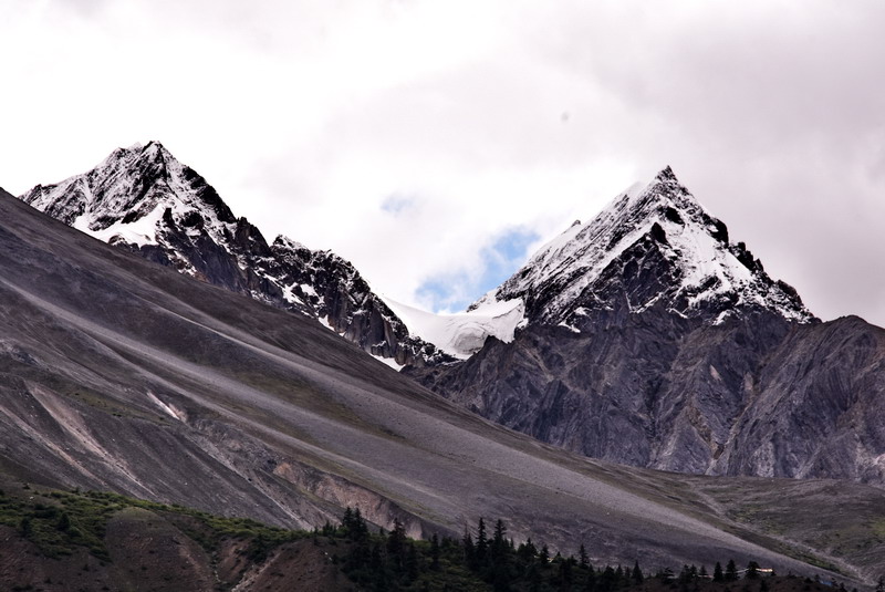 dsc_4937.jpg