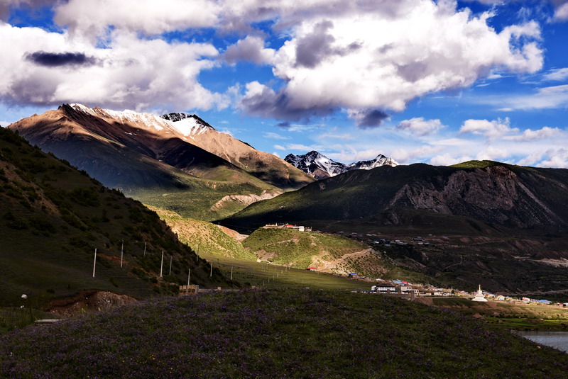 dsc_5011.jpg