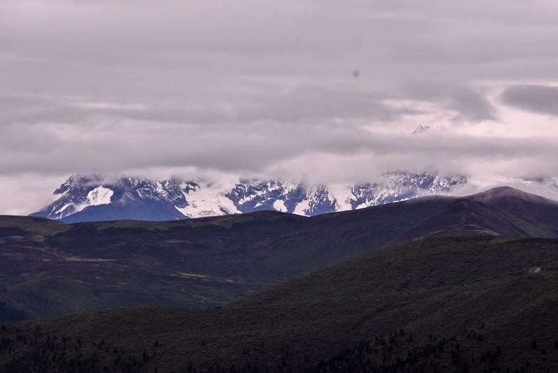dsc_5154.jpg