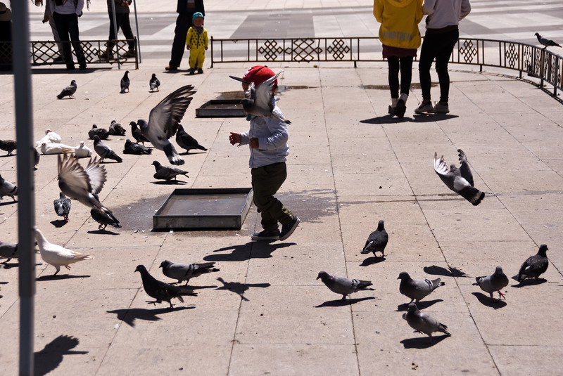 dsc_5214.jpg