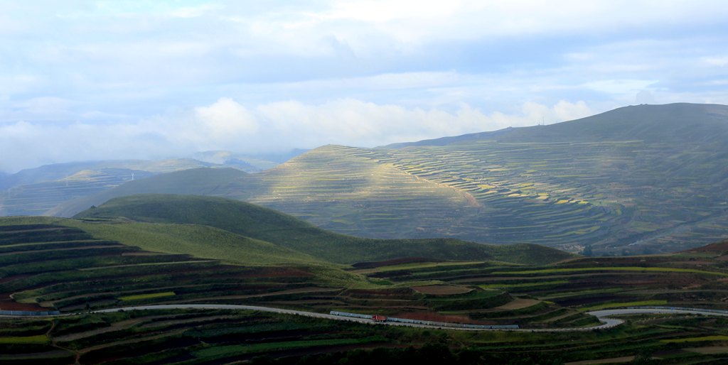 _mg_1105_.jpg