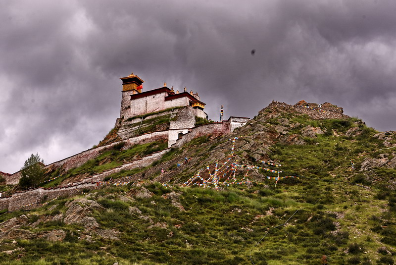 dsc_5247.jpg