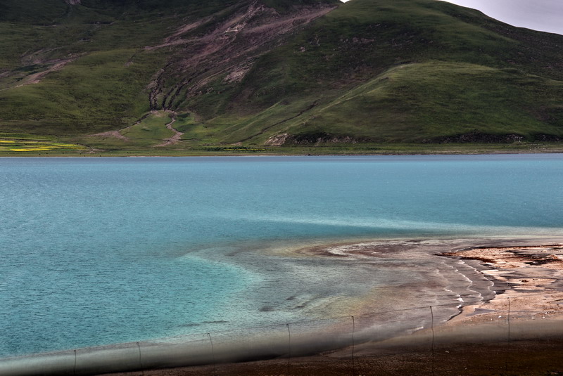 dsc_5341.jpg