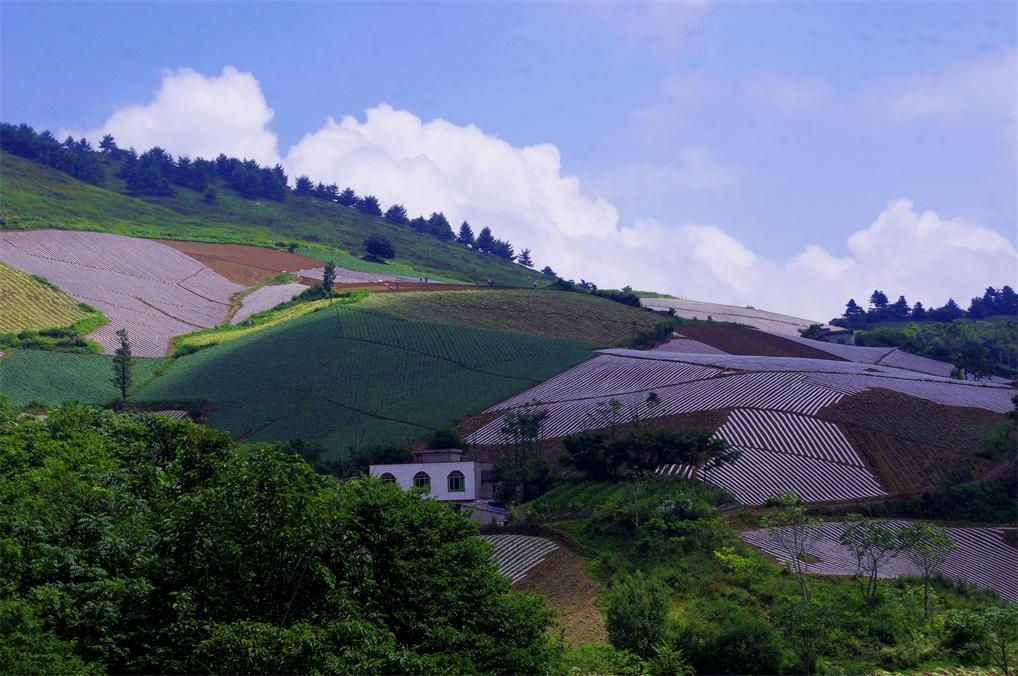 _igp7669.jpg