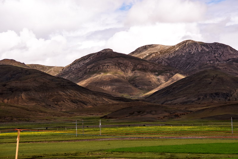 dsc_5645.jpg