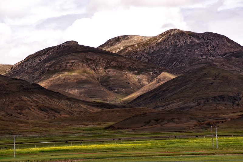 dsc_5646.jpg