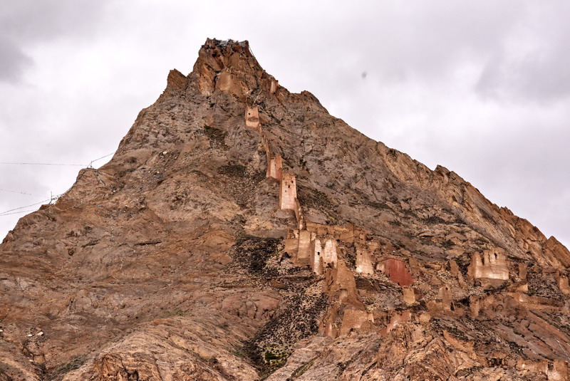 dsc_5828.jpg