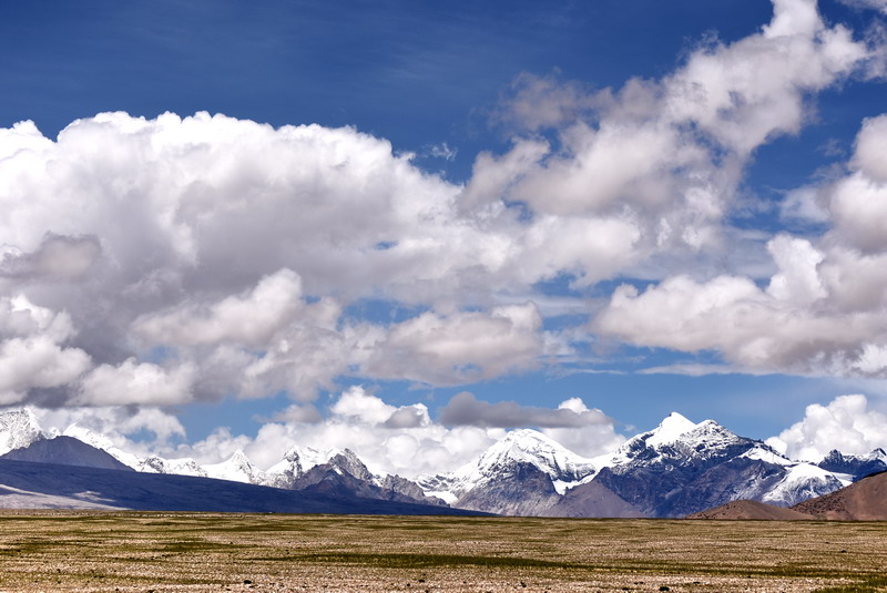 dsc_5834.jpg