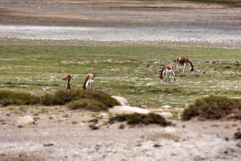 dsc_5987.jpg