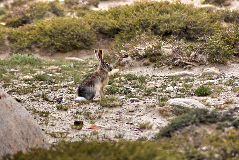 dsc_5989.jpg