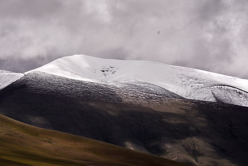 dsc_6113.jpg