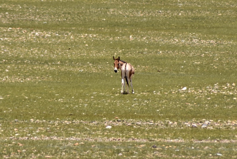 dsc_6119.jpg