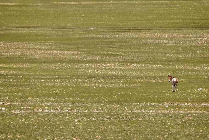 dsc_6120.jpg