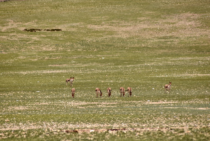 dsc_6142.jpg