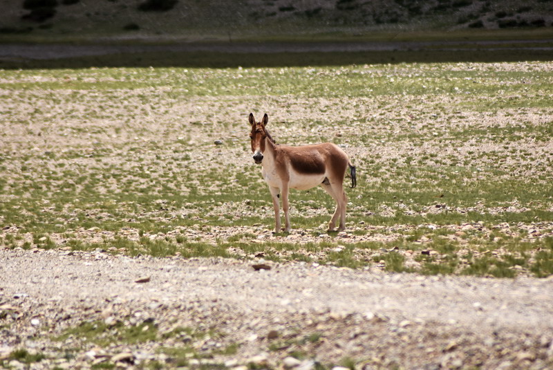 dsc_6145.jpg