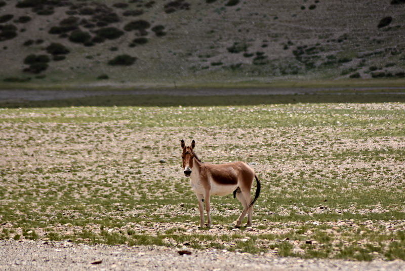 dsc_6147.jpg
