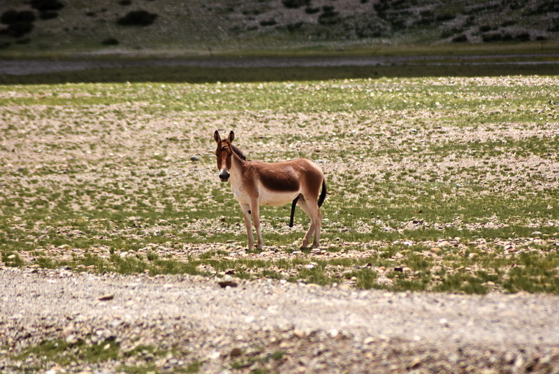 dsc_6148.jpg