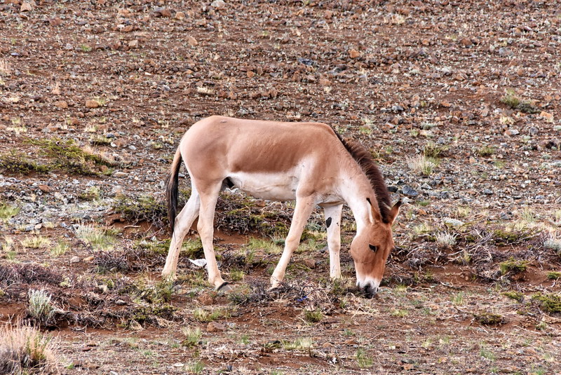 dsc_6199.jpg