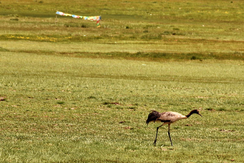dsc_6164.jpg