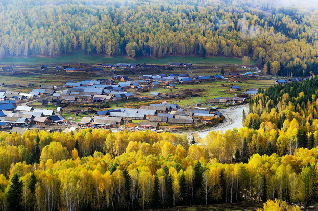 ce6i5831__1.jpg