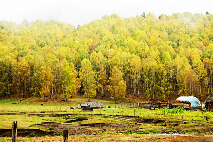 dsc05421__1.jpg