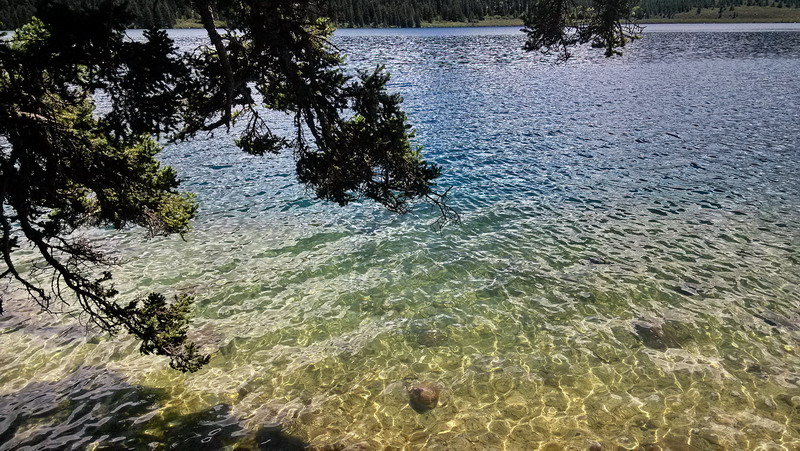 img_20150808_135115.jpg