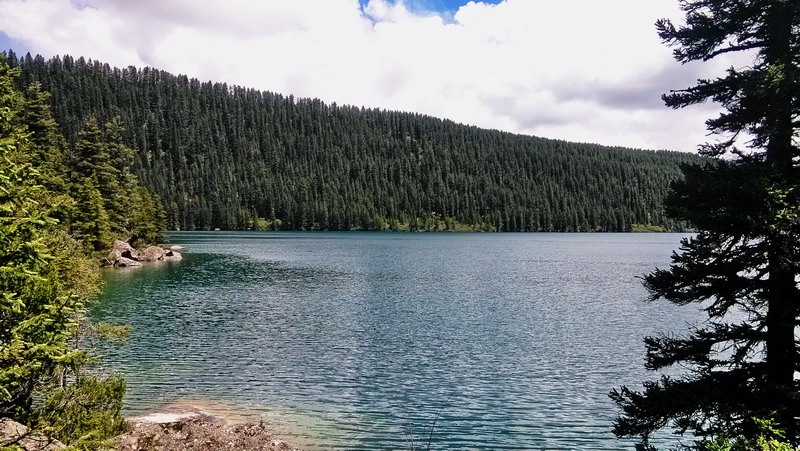 img_20150808_141749.jpg