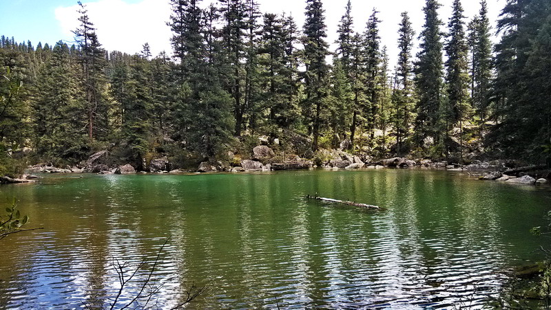 img_20150808_144704.jpg