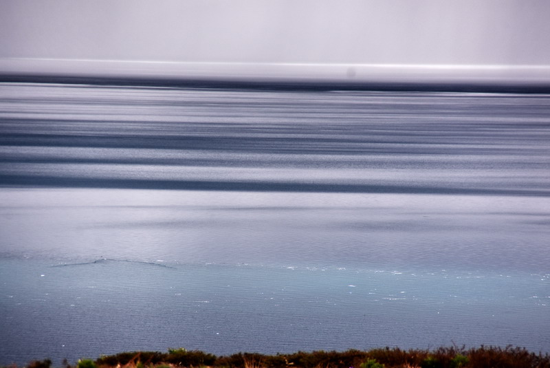 dsc_6320.jpg