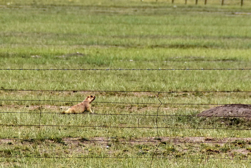 dsc_6328.jpg
