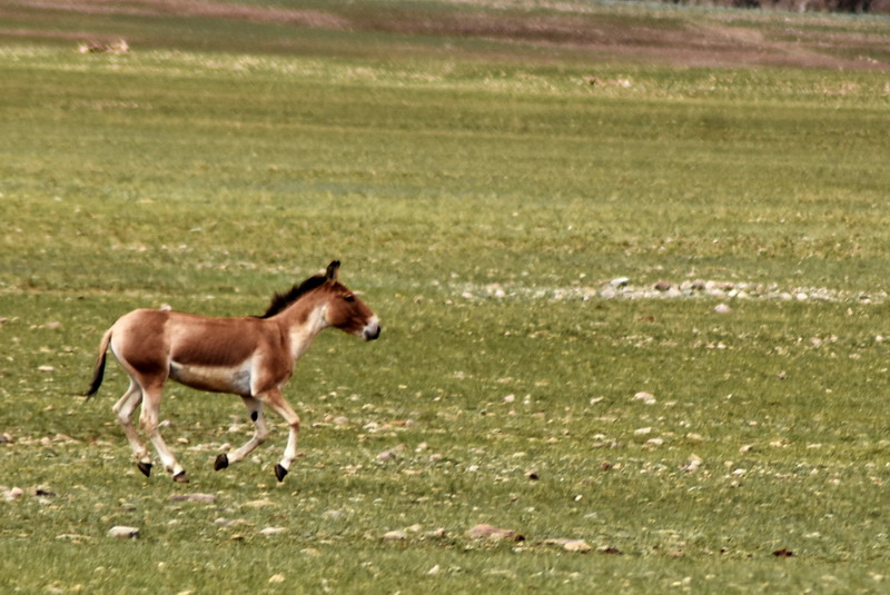 dsc_6340.jpg