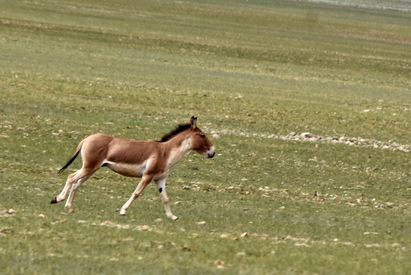 dsc_6341.jpg