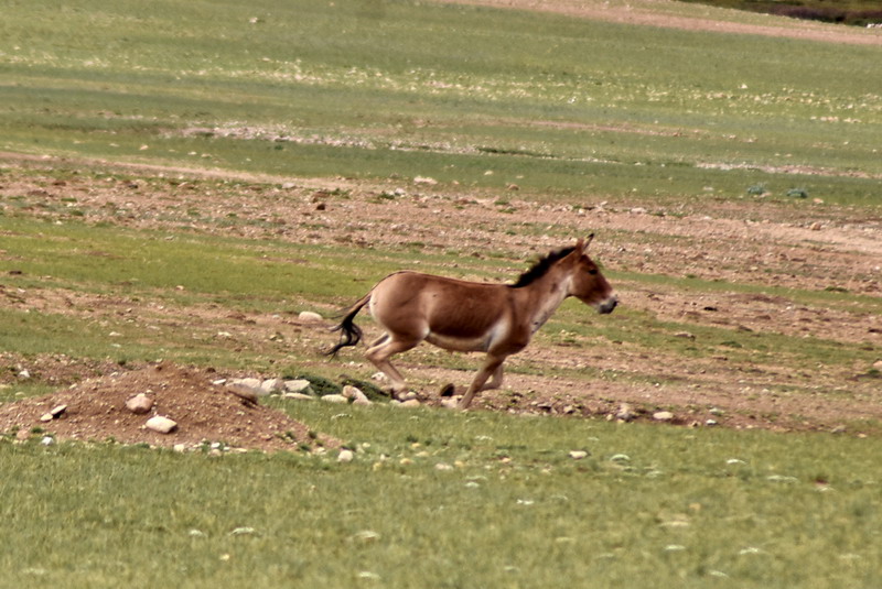 dsc_6350.jpg