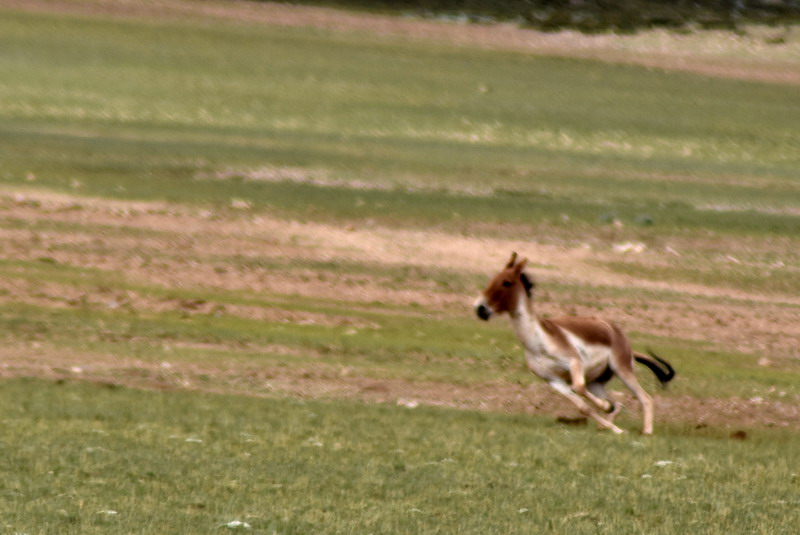 dsc_6351.jpg