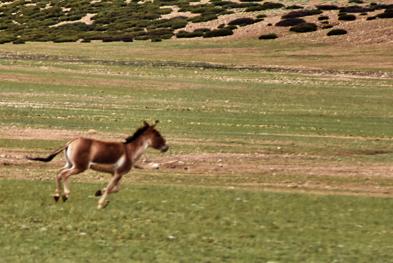 dsc_6354.jpg
