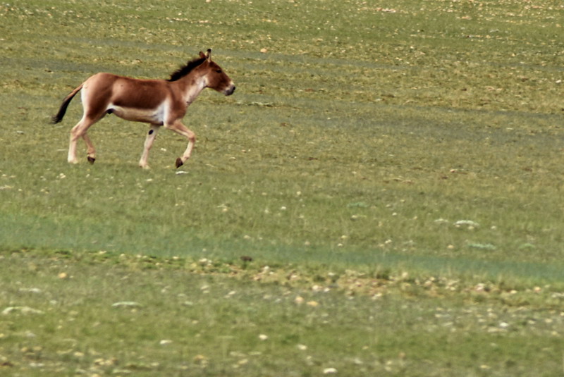 dsc_6356.jpg