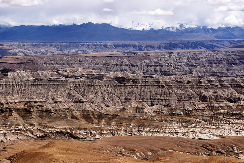 dsc_6416.jpg