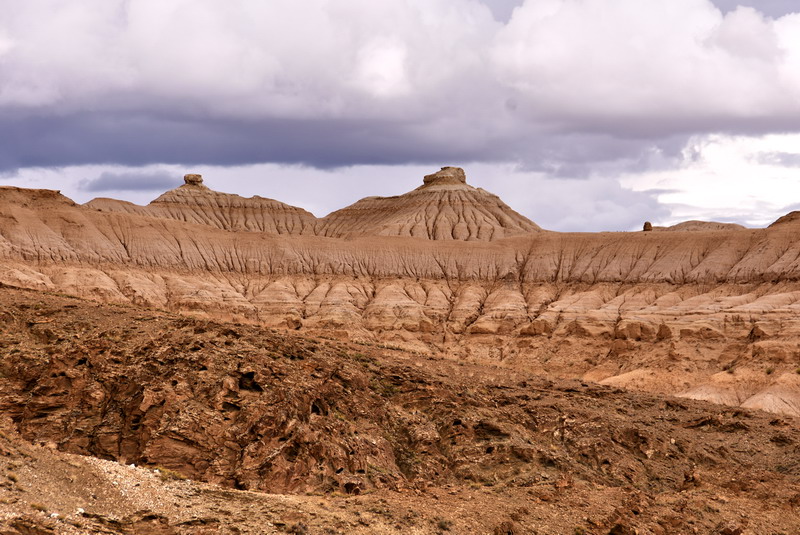 dsc_6429.jpg