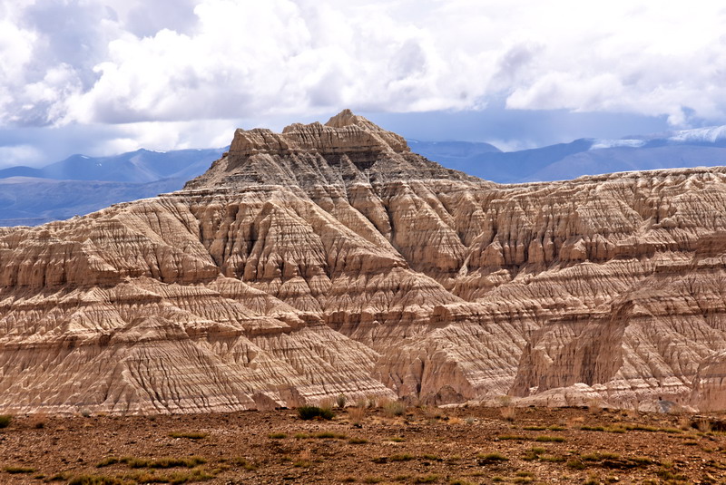 dsc_6432.jpg