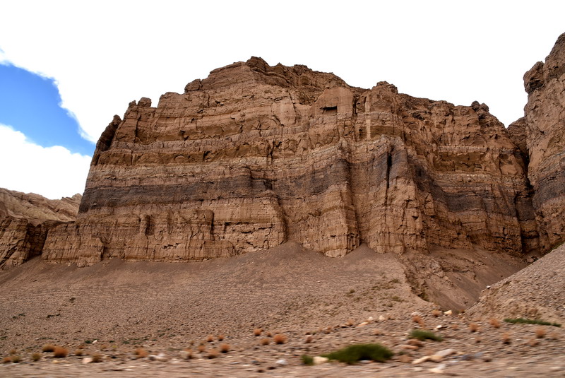 dsc_6460.jpg