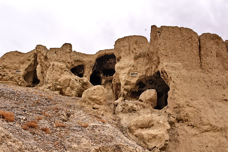 dsc_6493.jpg