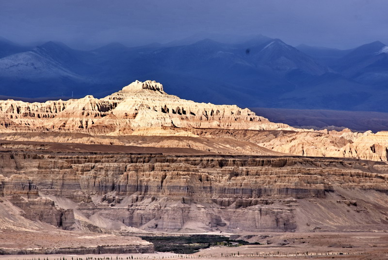 dsc_6503.jpg