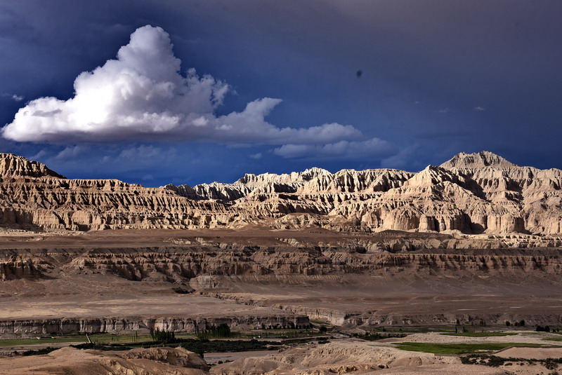 dsc_6517.jpg